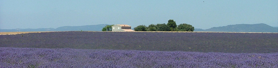 Route des vins de Provence