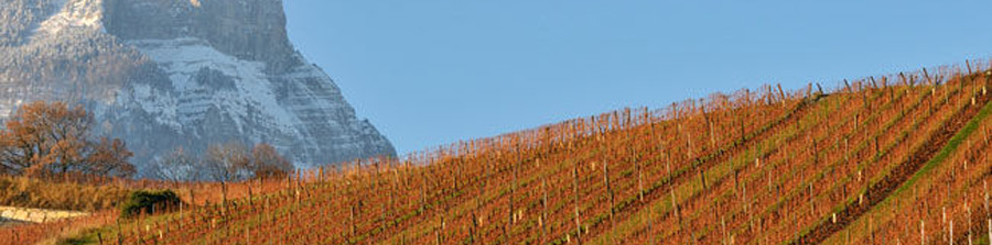 Route des vins de Savoie
