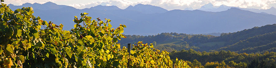 The Southwest Wine Route of France