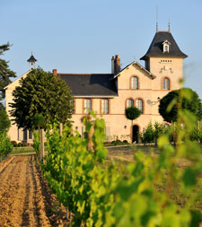 Organic wine estate in Anjou - France