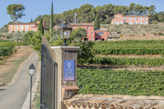 Séjour dans un domaine viticole à Draguignan