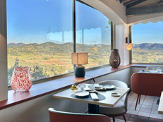 Séjour vin à la Maison Bérard près de Bandol