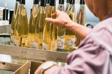 Séjour viticole dans le Bas Rhin