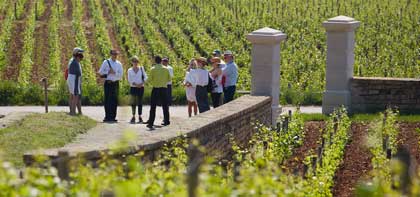 Séminaire entreprise dans les vignobles