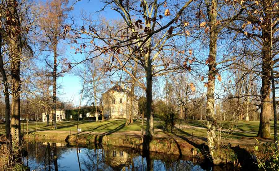 Château Siaurac - Bordeaux vineyard - Néac