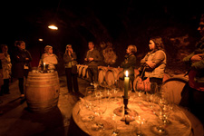 Wine tasting in France - Half day