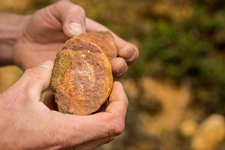 oenological course in the heart of the vineyards
