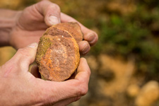 Stage oenologique au coeur des vignobles