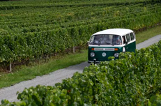 Nantes vineyard in a Combi