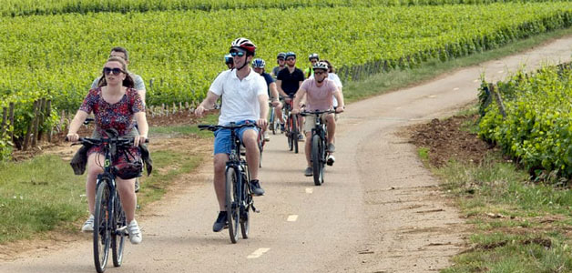 A vélo sur la route des vins Bourgogne