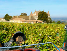 Vignoble de Bergerac