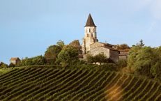 Stay in the Gaillac vineyard