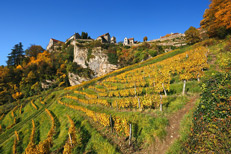 Vineyard of Jura - Château Chalon