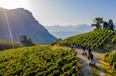 Explore the Savoyard vineyards on a Segway