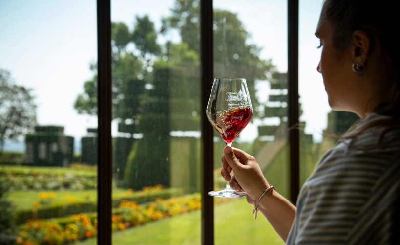 Château de Pizay - Dégustation vins du Beaujolais