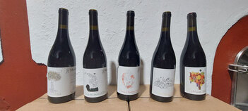 Domaine Montluzia - Wines