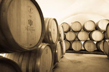Wine estate cellar in Grignan