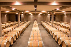 Cellar tour in Pessac-Léognan - Bordeaux