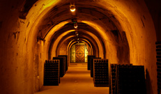 Cellar Tour - Champagne Route