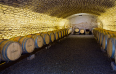 Cellar tour near Sancerre