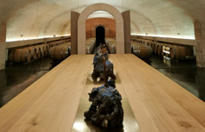 Cellar tour in Anjou