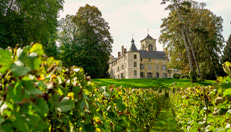 Visite domaine champenois à Boursault