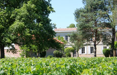 Visite dans le Médoc - Château Baudan