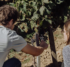 Visite domaine viticole en Ile-de-France