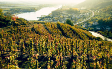 Weekend to discover the vineyards of the Rhône Valley