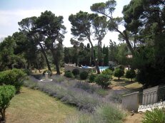 Weekend in the vineyard of Minervois