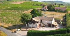 Wine day in Beaujolais
