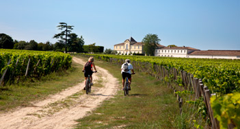 La Wine Hôte - Oenotourisme