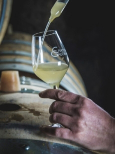 Loire wines tastings