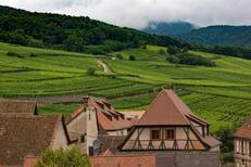 Wine tour from Strasbourg - Alsace - France