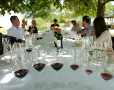 Wine tour Médoc - Bordeaux region