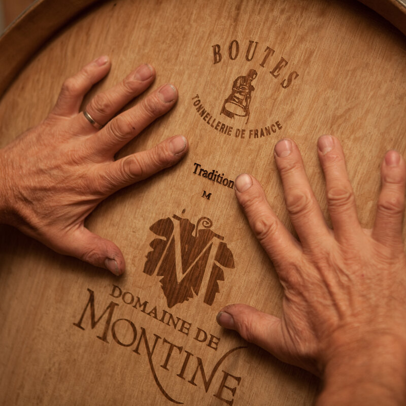 The Winemaker